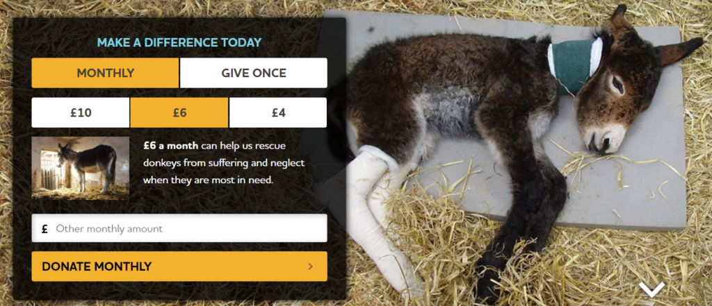The Donkey Sanctuary Donation Form With Powerful Imagery