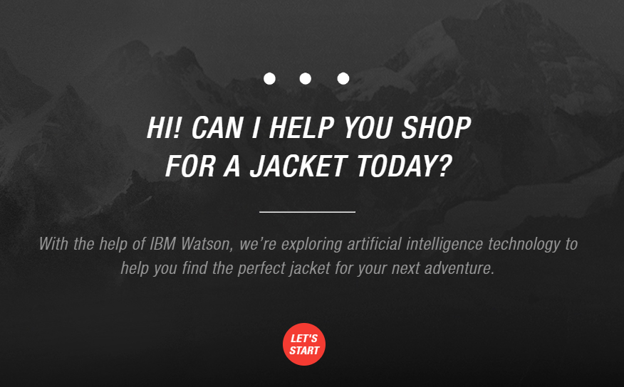 The North Face Bot