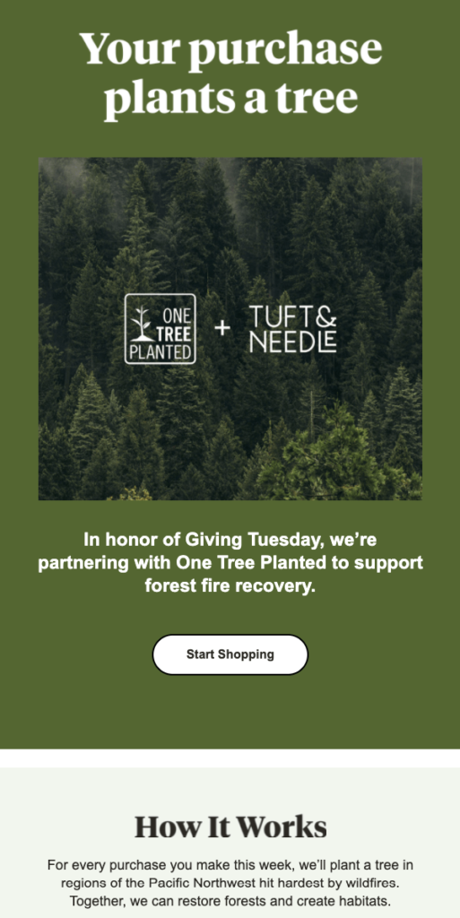 Tuft _ Needle CSR Email
