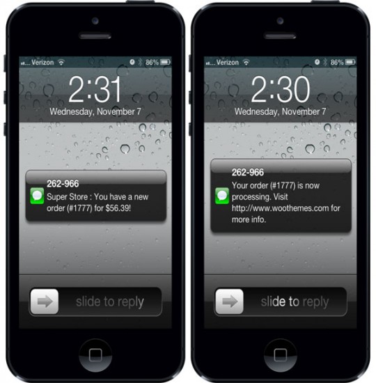 Twilio SMS Notifications