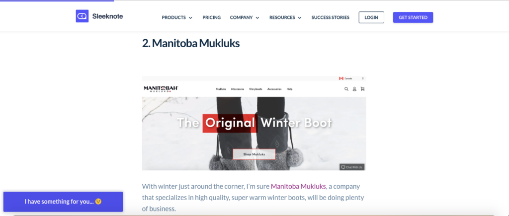 Featured Store From Shopify Article