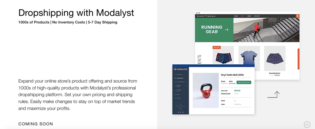 Modalyst Dropshipping