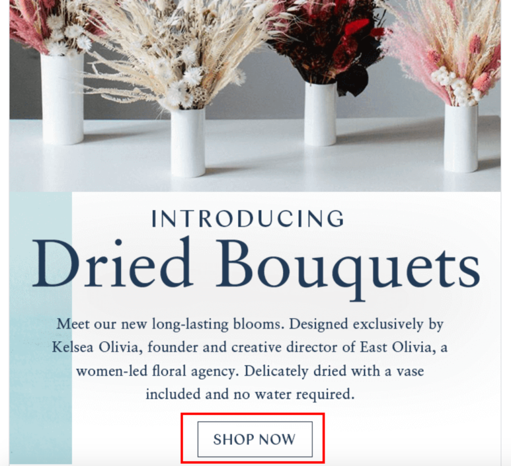 Dried Bouquets CTA