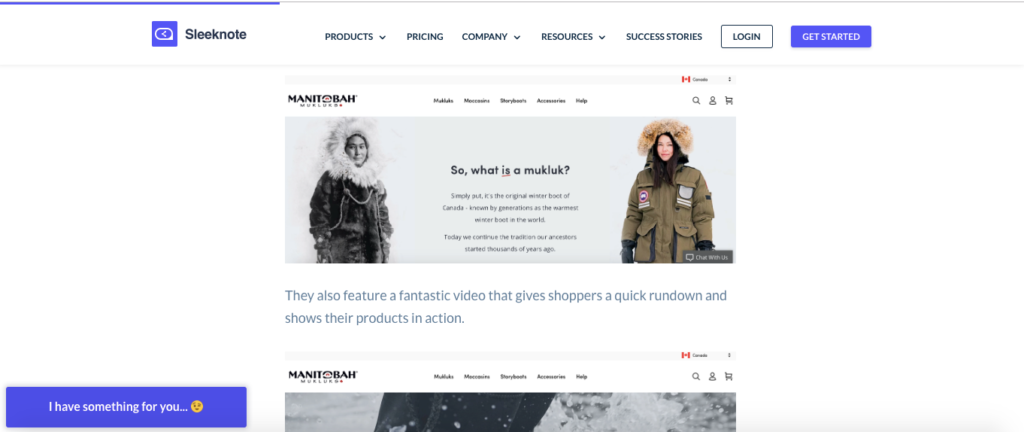 Shopify Ecommerce Example