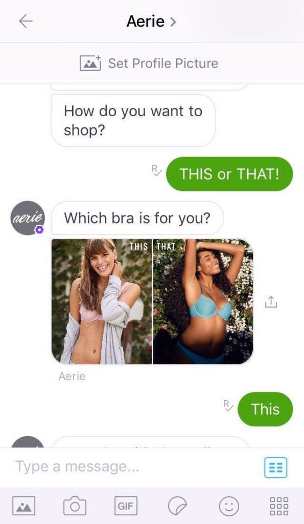 Aerie Chatbot Example