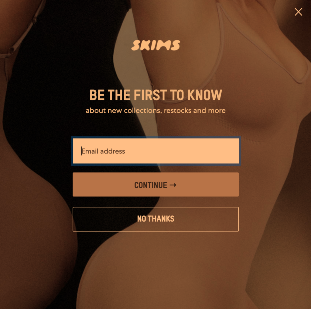 Skims Lead Capture Form Example