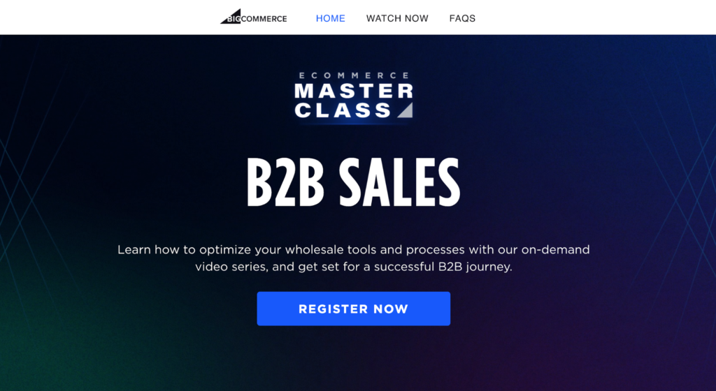 E-Commerce Masterclass for B2B Sales Course