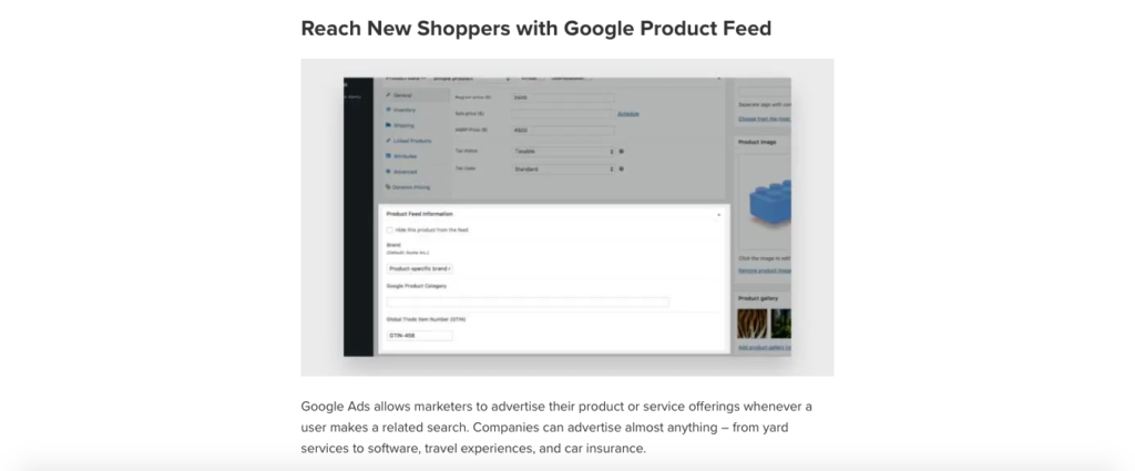 Google Shopping