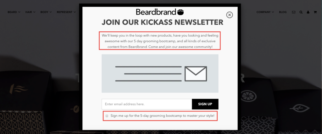 Newsletter Popup Copy