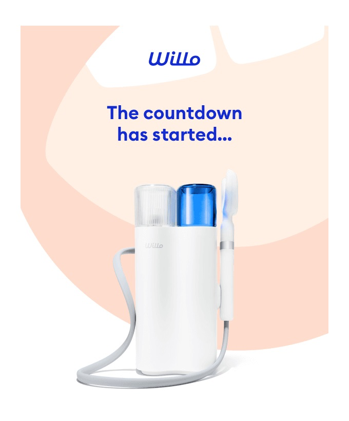 Willo Product Launch Email