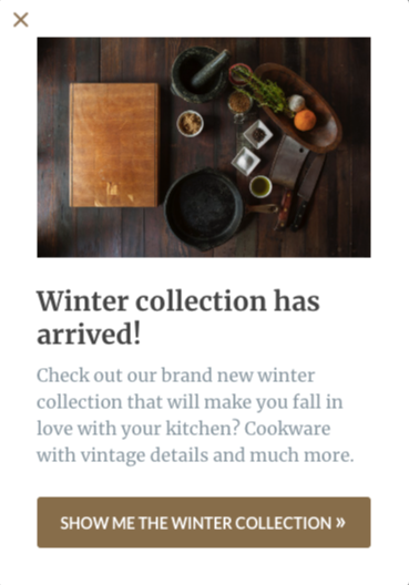 New Collection Ecommerce Popup Templates