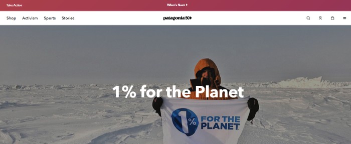 Patagonia Best Ecommerce Products