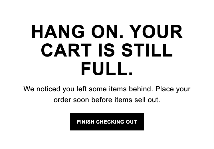 The North Face Cart Abandonment Popup Call to Action (CTA) Examples