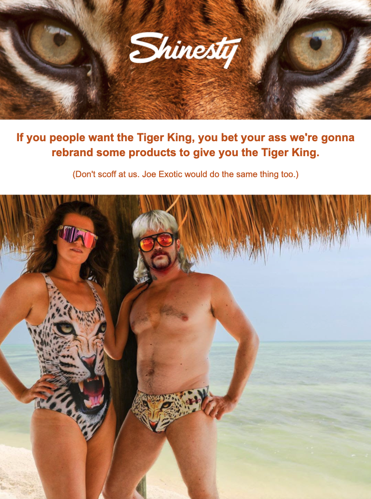 Shinesty funny email example
