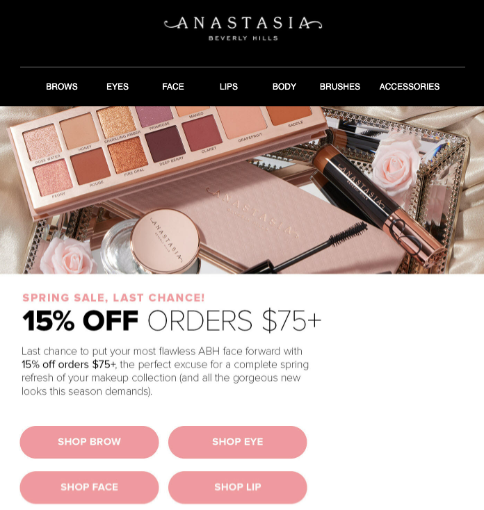 Anastasia Beverly Hills Email Example 2
