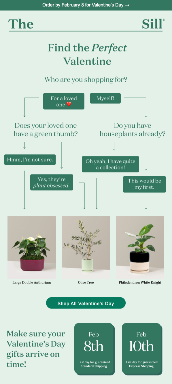 The Sill seasonal Valentine's Day email newsletter example featuring an interactive gift-finding flowchart